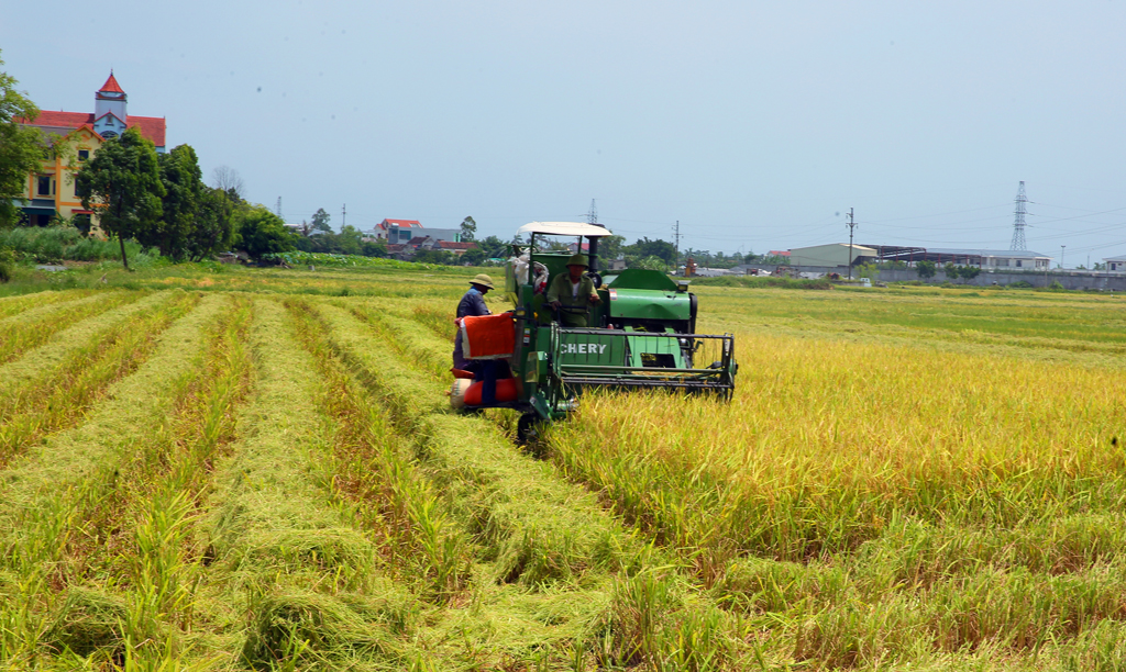 Ngành Ngân hàng Ninh Bình: Đóng góp tích cực vào chương trình xây dựng nông thôn mới
